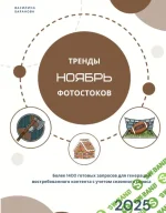 Без названия (6).webp