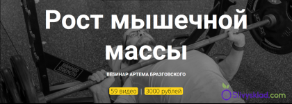 3100