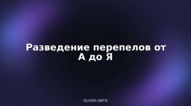 cover.jpg cover.jpg