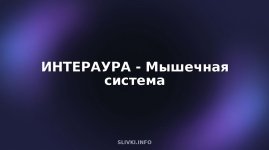 cover.jpg