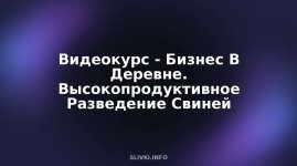 cover.jpg