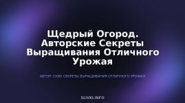 cover.jpg