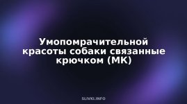 cover.jpg