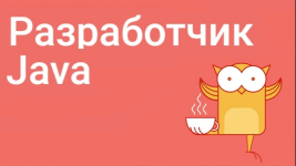 7553